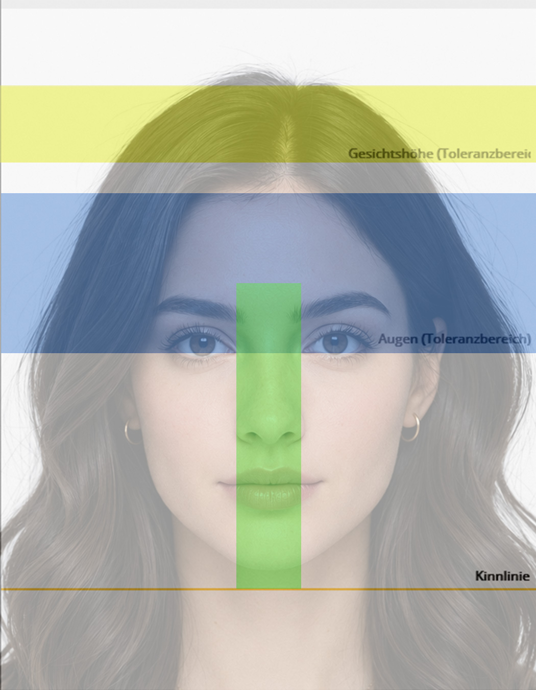 Biometrisches Passfoto mit QR-Code in Düsseldorf